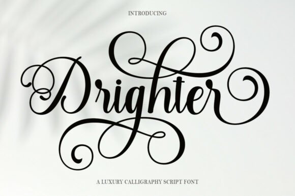 Drighter: The Sweet Calligraphy Typeface for Creative Projects
